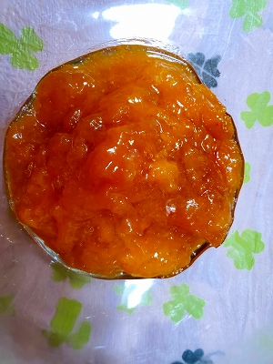 【京都宇治・宝善院】普茶料理にも使用予定の杏ジャムを作っています。