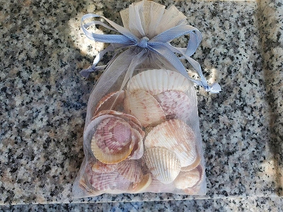 【京都宇治・宝善院】アメリカのフロリダより献花の代わりに地元の美しい貝が届きました。