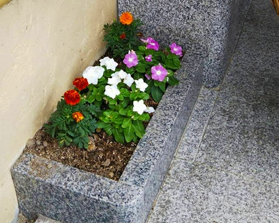 【京都宇治・宝善院】水子供養の数珠掛け地蔵尊前の花壇に花を植えました。