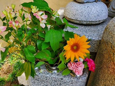 【京都宇治・宝善院】水子供養のお地蔵様へ、ヒマワリの花がお供えなれていました。