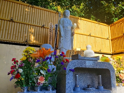 【京都宇治・宝善院】沢山の秋の花をお供え頂いています。
