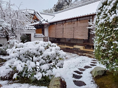 黄檗山萬福寺塔頭『宝善院』に雪が積もっていました。境内が雪化粧され、いつもより神秘的な雰囲気がありました。