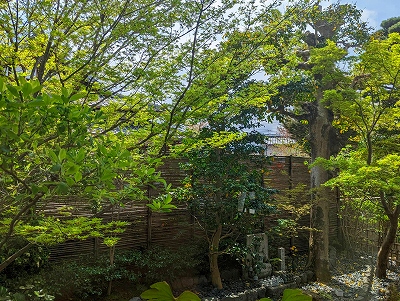 【京都宇治・宝善院】境内には瑞々しい新緑がひろがり始めています。