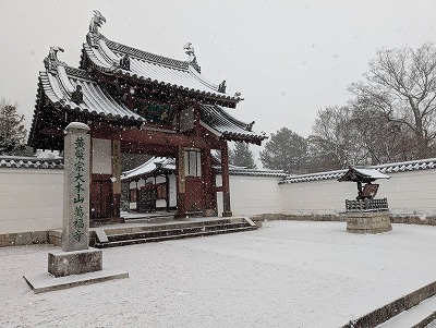 黄檗にも久しぶりに雪が降り積もりました。