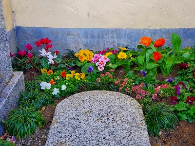 【京都・宇治 宝善院】水子供養のお地蔵さん周りの花です。